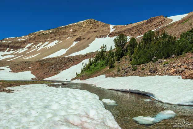 It Is Still Spring!. Photo by Dave Bell.