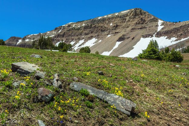 Mt. Coffin. Photo by Dave Bell.