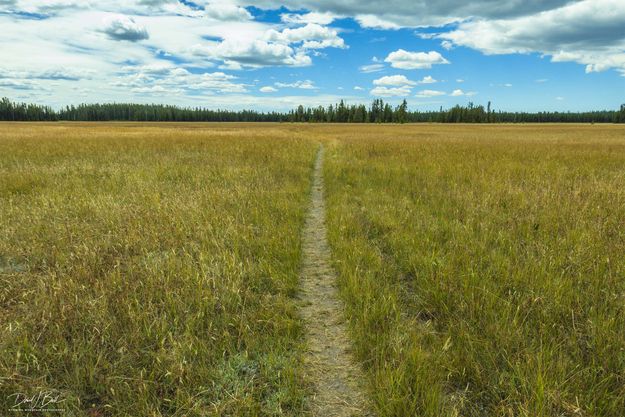 Bechler Meadows Is Huge. Photo by Dave Bell.