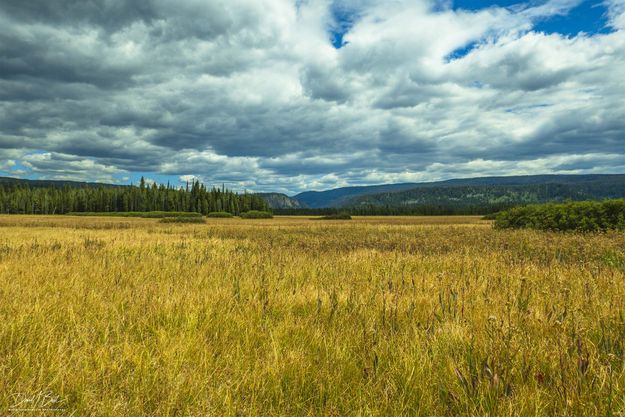 Bechler Meadows Looking Toward Pitchstone Plateau. Photo by Dave Bell.