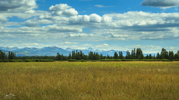 Bechler Meadows Hiking In The Shadow Of The Tetons. Photo by Dave Bell.