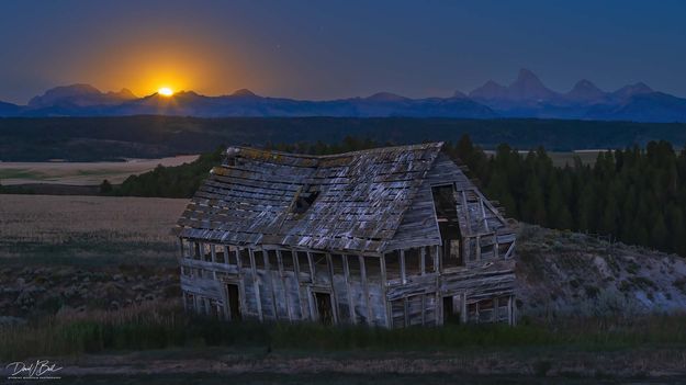 Moon Rise Mansion. Photo by Dave Bell.