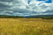 Bechler Meadows Looking Toward Pitchstone Plateau. Photo by Dave Bell.