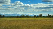 Bechler Meadows Hiking In The Shadow Of The Tetons. Photo by Dave Bell.
