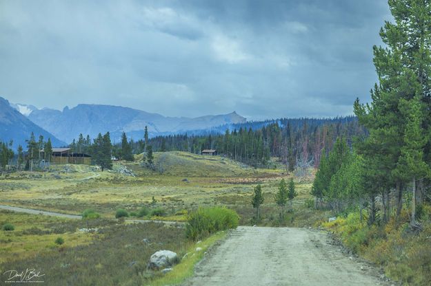 Feedground. Photo by Dave Bell.