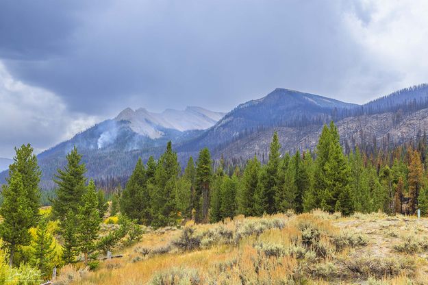 Big Sheep Smoke. Photo by Dave Bell.