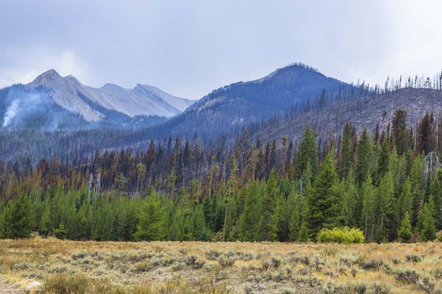 Near Campground. Photo by Dave Bell.