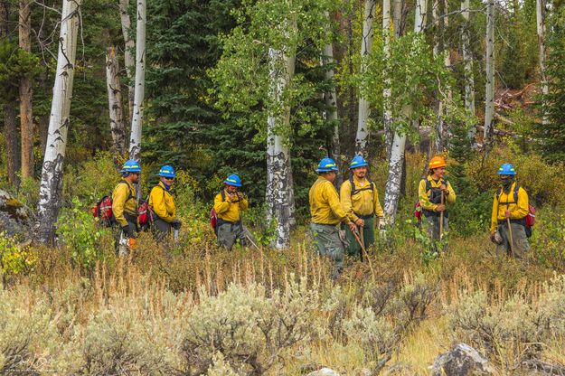 Fire Crew. Photo by Dave Bell.
