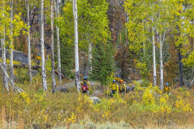 In The Color. Photo by Dave Bell.