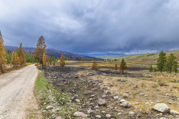 View Down Valley. Photo by Dave Bell.