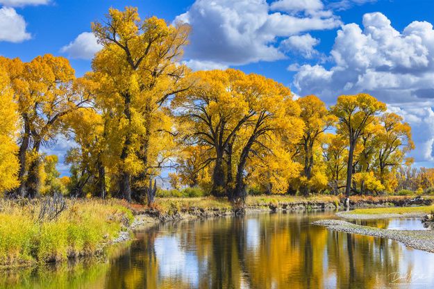 Vibrant Color. Photo by Dave Bell.