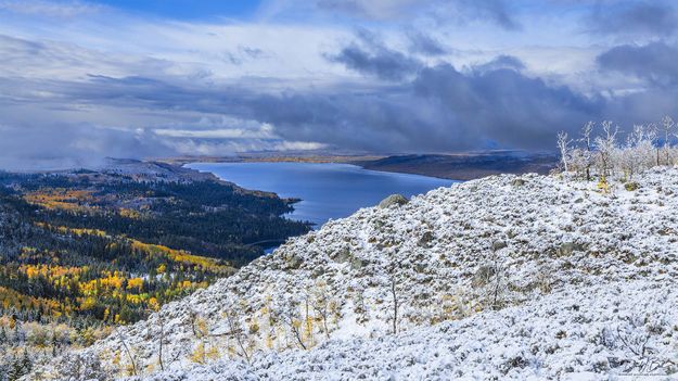 Lake View. Photo by Dave Bell.