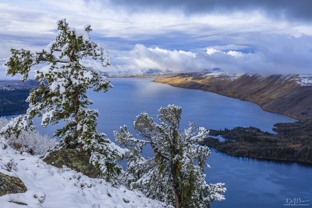 Classic Lake View. Photo by Dave Bell.