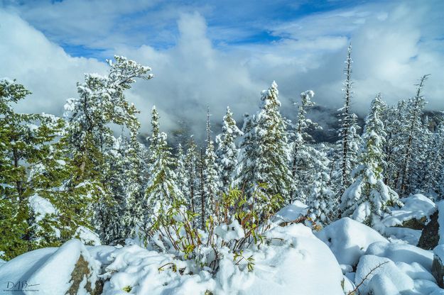Winter Arrives. Photo by Dave Bell.