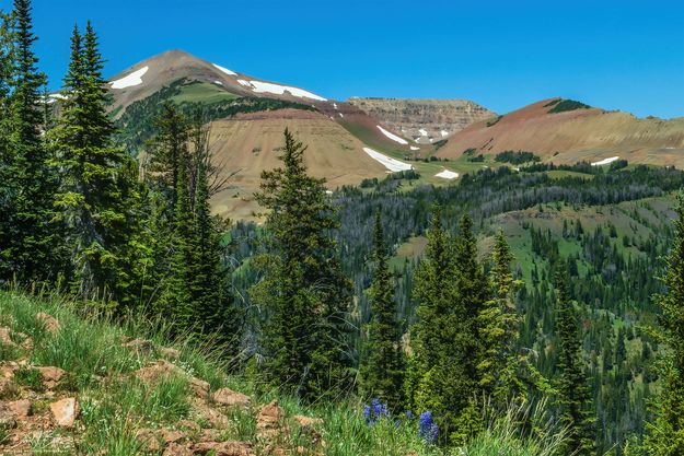 Wyoming and Coffin. Photo by Dave Bell.