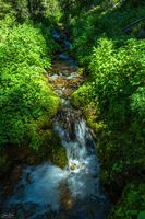 Beauty. Photo by Dave Bell.