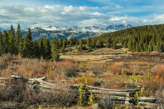 Spring At Elkhart Park-May 27. Photo by Dave Bell.