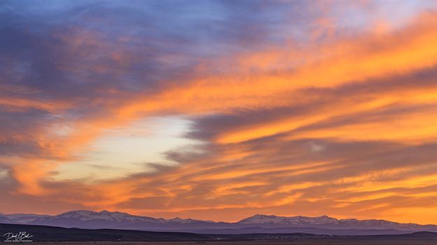 Out Of Control Color. Photo by Dave Bell.