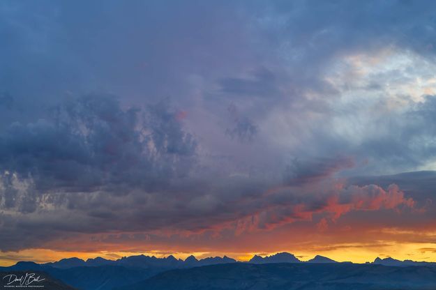 Wonderful Color-August 17. Photo by Dave Bell.