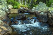 Beautiful Waterfalls-Sweetwater Gap-August 24. Photo by Dave Bell.
