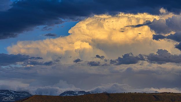 Big Boomer-June 5. Photo by Dave Bell.