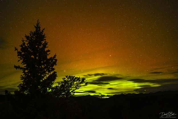 Aurora Night Of Sept 29-30. Photo by Dave Bell.