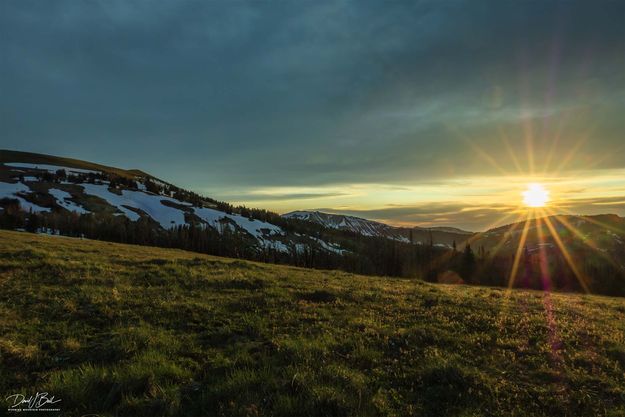 Gorgeous Sunburst. Photo by Dave Bell.