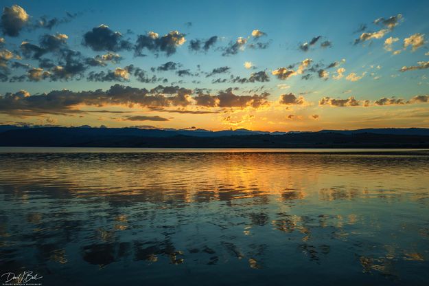 Puffy Explosion. Photo by Dave Bell.