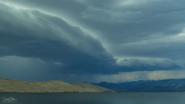 Leading Edge. Photo by Dave Bell.