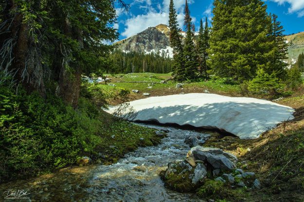 Beautiful. Photo by Dave Bell.