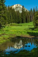 Reflecting. Photo by Dave Bell.