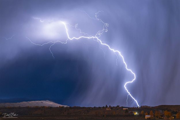 . Photo by Dave Bell.