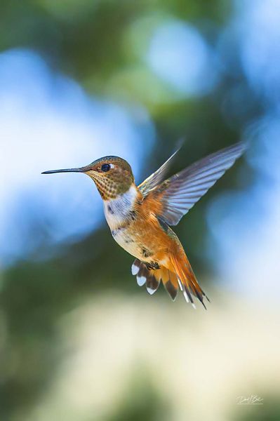 Floating. Photo by Dave Bell.