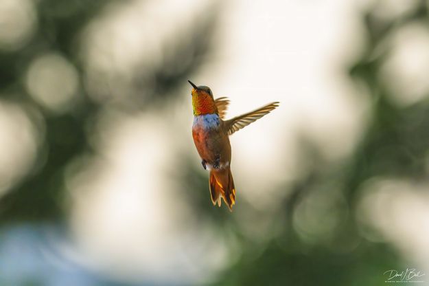 Stretching Out. Photo by Dave Bell.