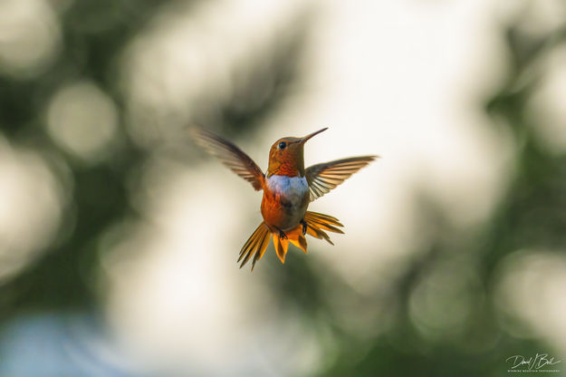 Decisions. Photo by Dave Bell.