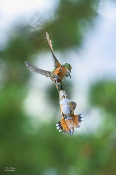 Twists And Turns. Photo by Dave Bell.