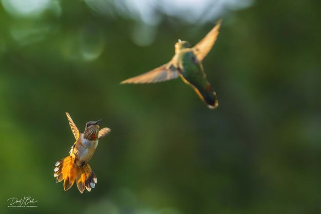 Testing. Photo by Dave Bell.