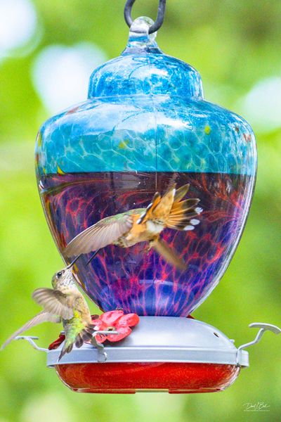 Impending Wreck. Photo by Dave Bell.