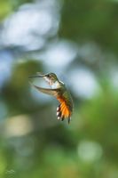 My Better Side. Photo by Dave Bell.