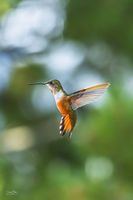 Portrait Posing. Photo by Dave Bell.