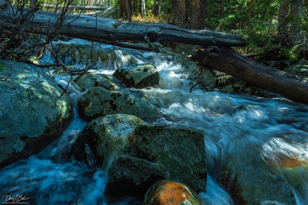 Sweet Water. Photo by Dave Bell.