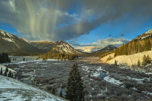 Snow Bands. Photo by Dave Bell.