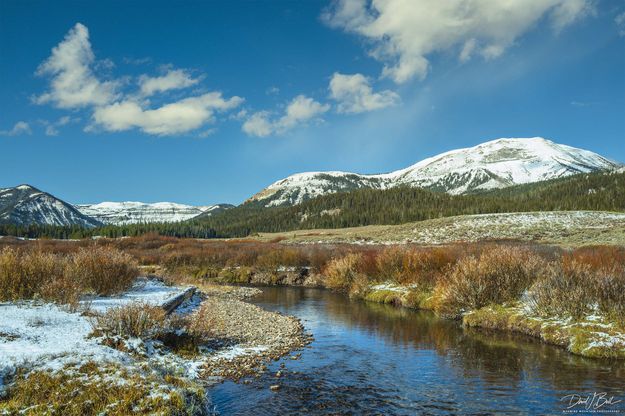 Beauty. Photo by Dave Bell.