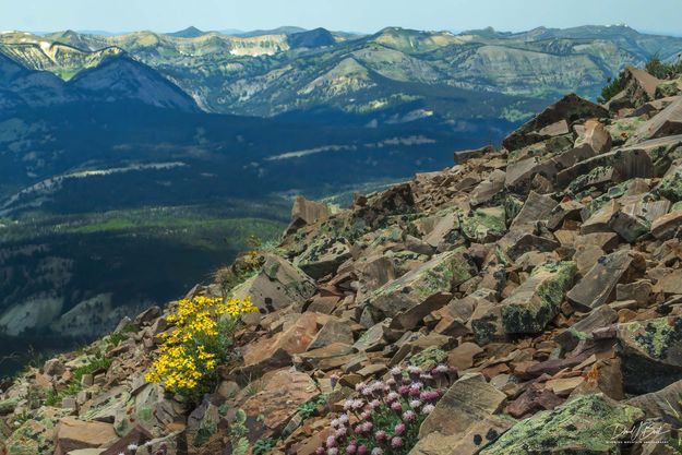Rocky Color. Photo by Dave Bell.