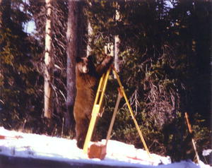 Surveying for the latest tourist attraction