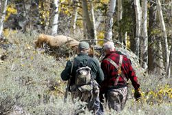 A’ hunting we will go. Photo by Megan Neher, Pinedale Roundup.