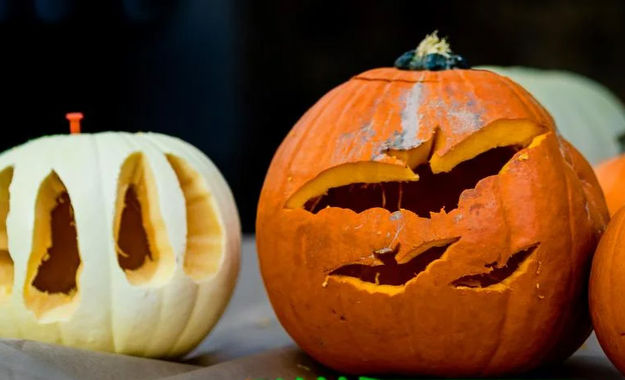 Discard old pumpkins. Photo by Wyoming Game & Fish.