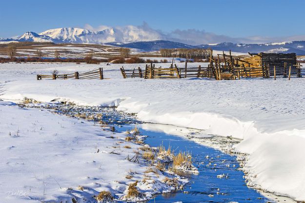 . Photo by Dave Bell.