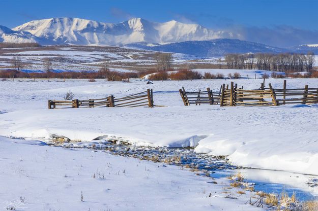 . Photo by Dave Bell.