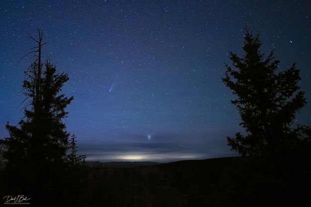 Comet Lemmon. Photo by Dave Bell.